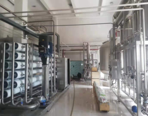 超純水EDI設(shè)備